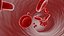 3D Blood cells