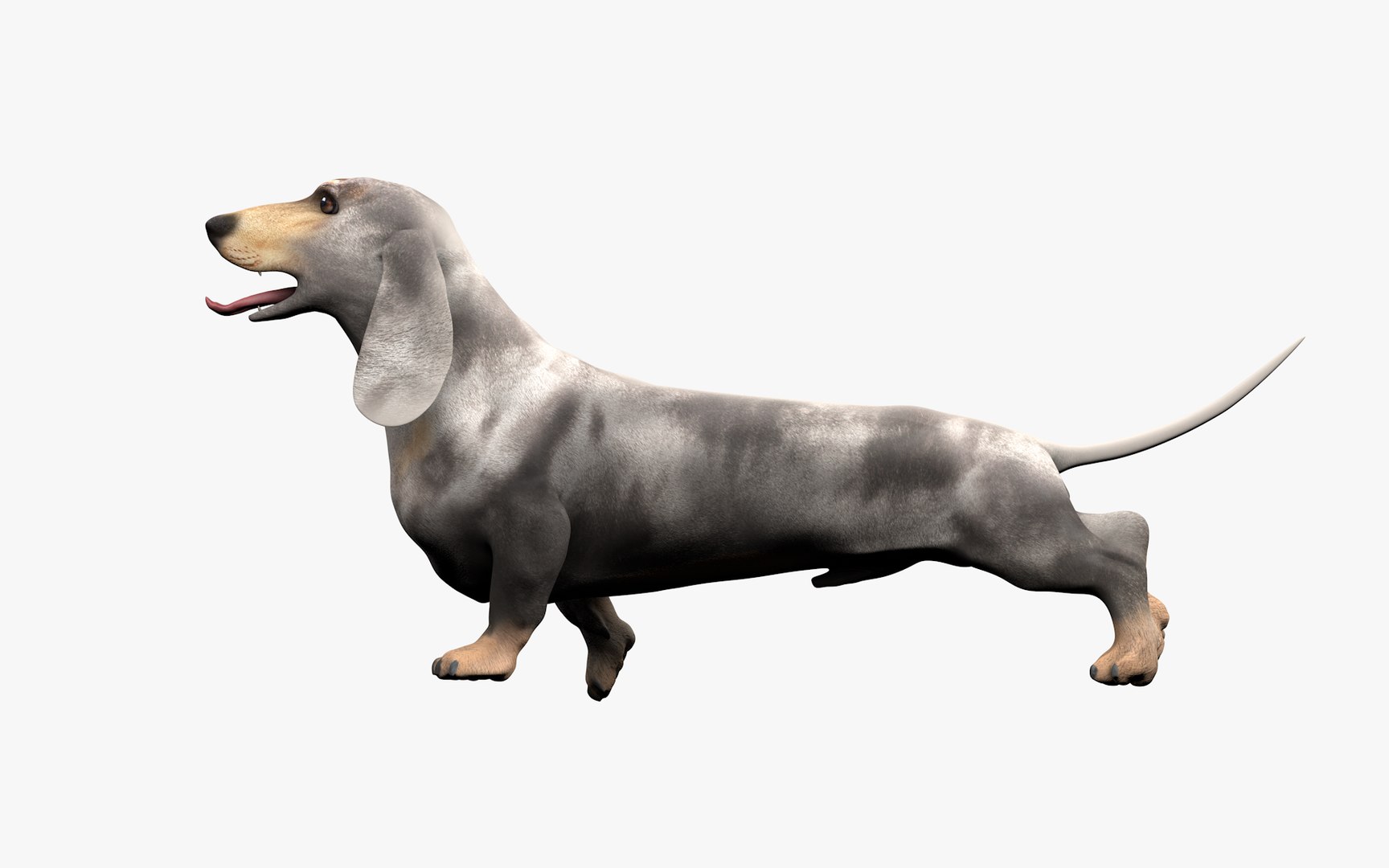3D Dachshund Rigged L1863 https://p.turbosquid.com/ts-thumb/c1/SE0MKB/2r/18_0012/png/1665357999/1920x1080/fit_q87/73424b251986d214ead5635c8ab2c1a11ce879cc/18_0012.jpg