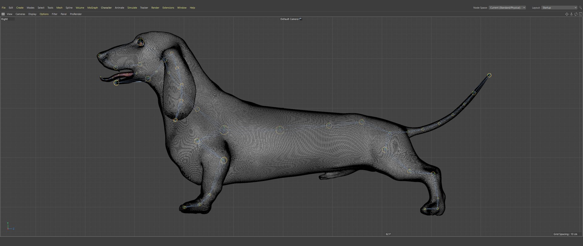 3D Dachshund Rigged L1863 https://p.turbosquid.com/ts-thumb/c1/SE0MKB/4l/210/png/1665358041/1920x1080/fit_q87/263f7468d12e5fab83ee7ab8ba1836bed15d35cf/210.jpg