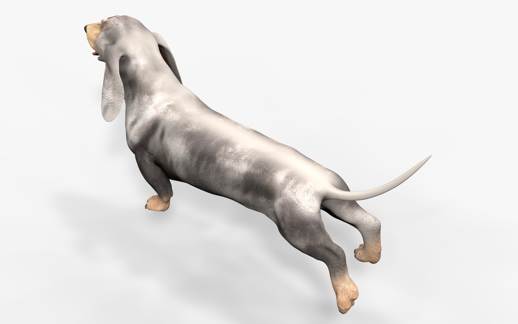 3D Dachshund Rigged L1863 https://p.turbosquid.com/ts-thumb/c1/SE0MKB/CL/07_0040/png/1665357990/1920x1080/fit_q87/ecf268701f9517697d509563e2015263ac1d24ee/07_0040.jpg
