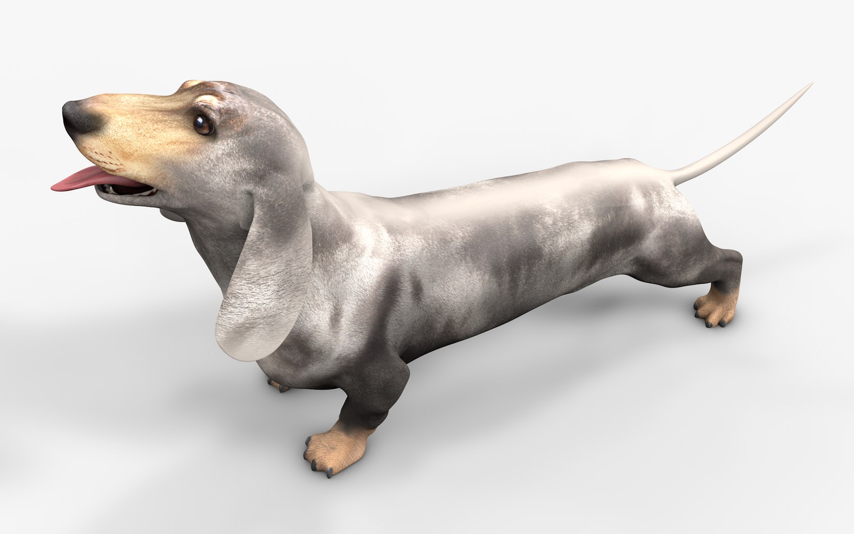 3D Dachshund Rigged L1863 https://p.turbosquid.com/ts-thumb/c1/SE0MKB/Ex/15/png/1665357998/1920x1080/fit_q87/67eef1de6cb197b19fc2e8816e49002d2685ab6b/15.jpg
