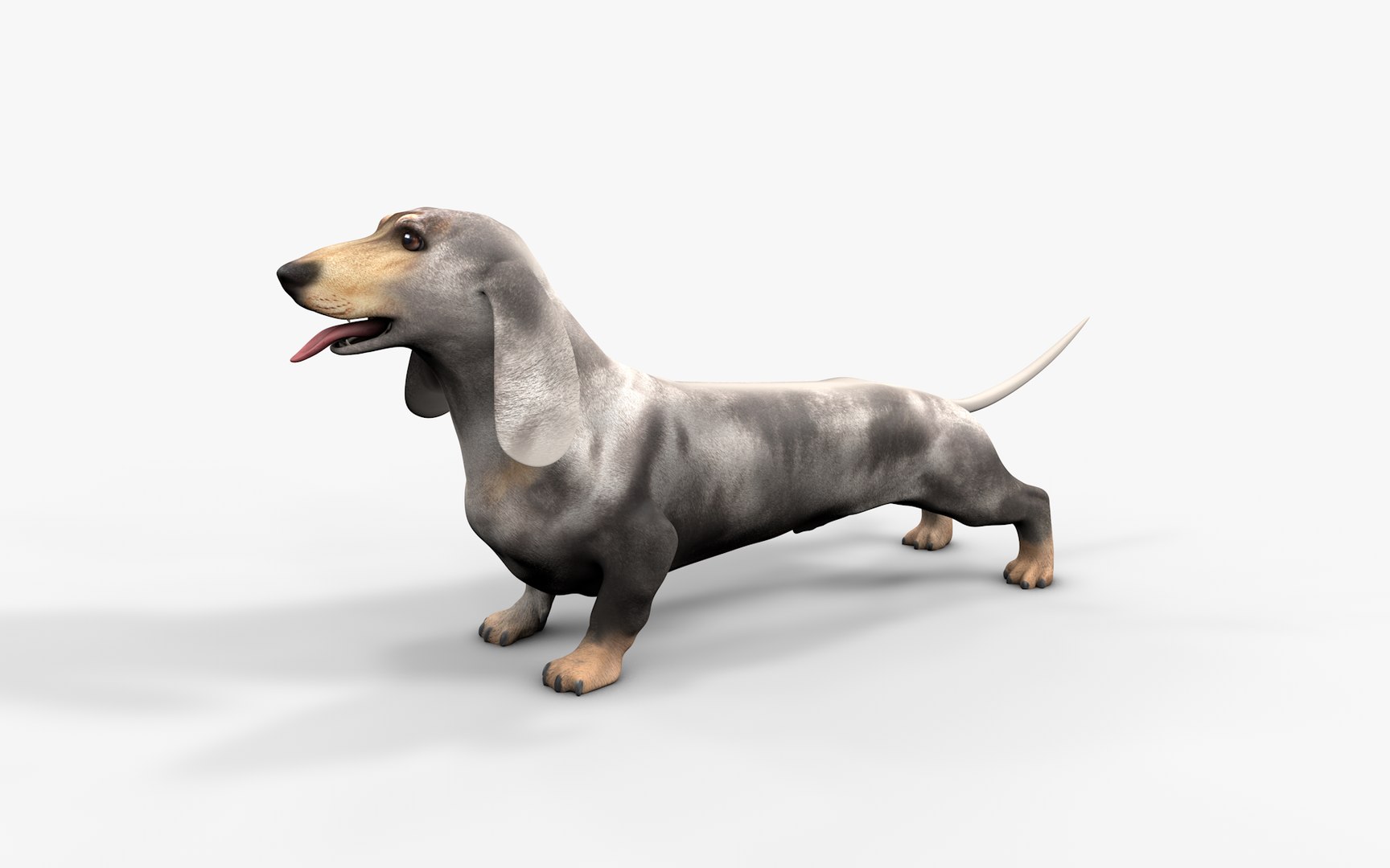 3D Dachshund Rigged L1863 https://p.turbosquid.com/ts-thumb/c1/SE0MKB/RK/2nd/png/1665357982/1920x1080/fit_q87/0cba8c8e9adb838ca21d290edbe8afc8375dfa5e/2nd.jpg