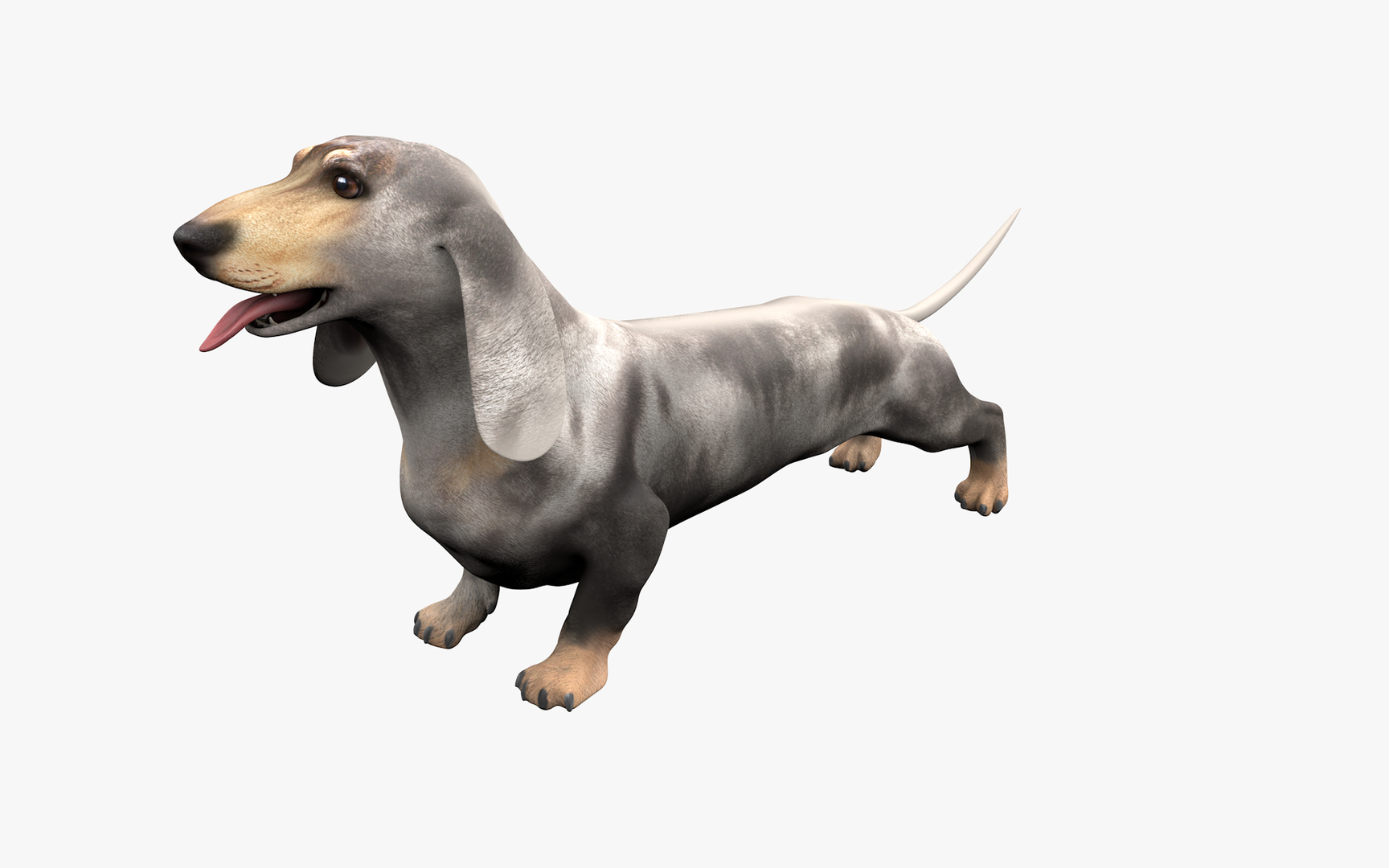 3D Dachshund Rigged L1863 https://p.turbosquid.com/ts-thumb/c1/SE0MKB/Su/0000/png/1665358409/1920x1080/turn_fit_q99/32b14b6f203d4553c3af1be5fb4f770e77f3dc47/0000-1.jpg