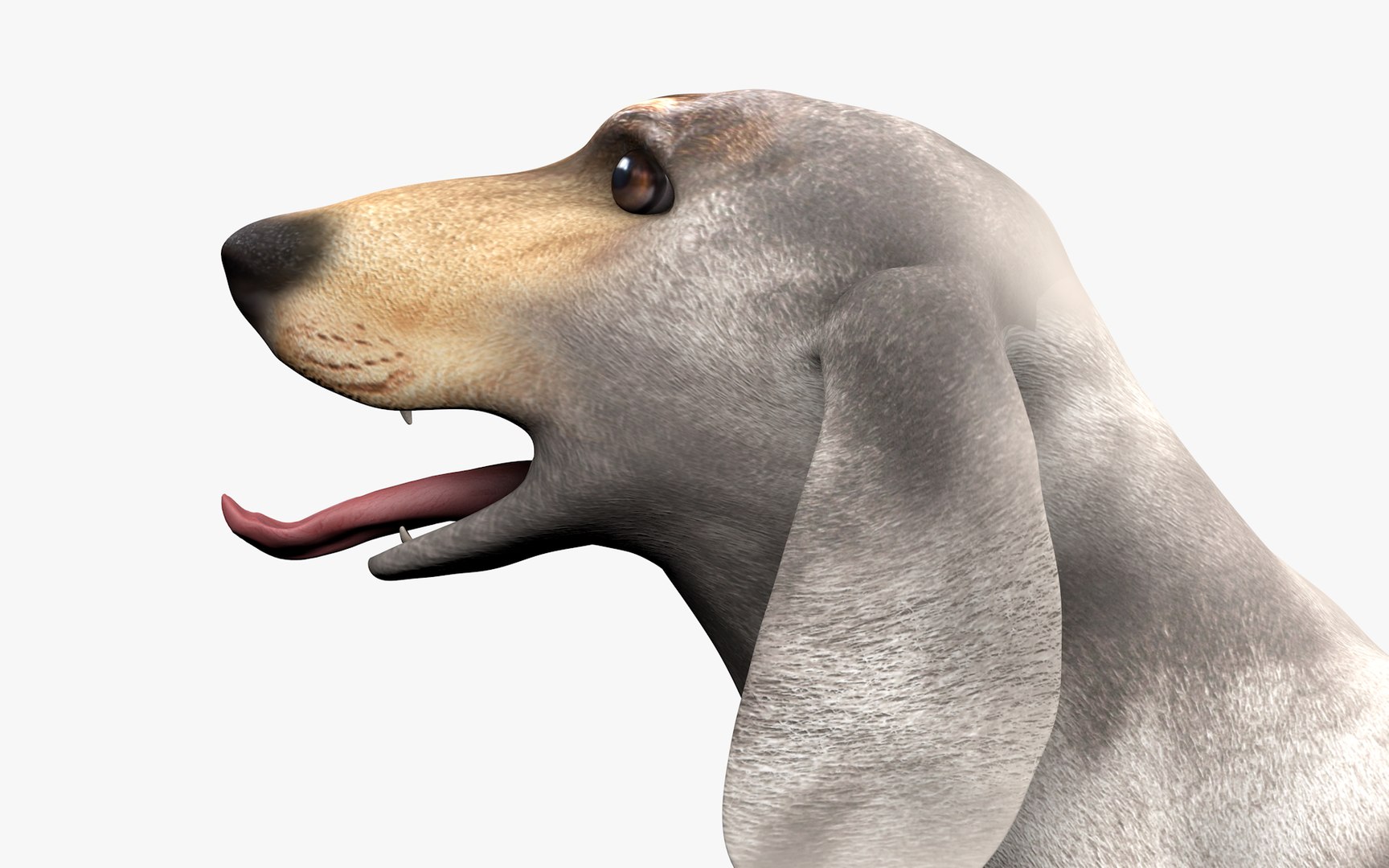 3D Dachshund Rigged L1863 https://p.turbosquid.com/ts-thumb/c1/SE0MKB/Yj/19_0012/png/1665358002/1920x1080/fit_q87/702157dba17120b4a07f84c3742f0220a144cdad/19_0012.jpg