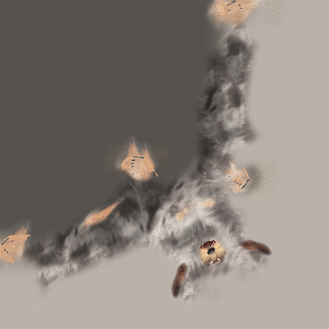 3D Dachshund Rigged L1863 https://p.turbosquid.com/ts-thumb/c1/SE0MKB/s1/uv/png/1665358002/1920x1080/fit_q87/c7d86ffe43ca9464bfc4aebf9347c4db21acfc66/uv.jpg