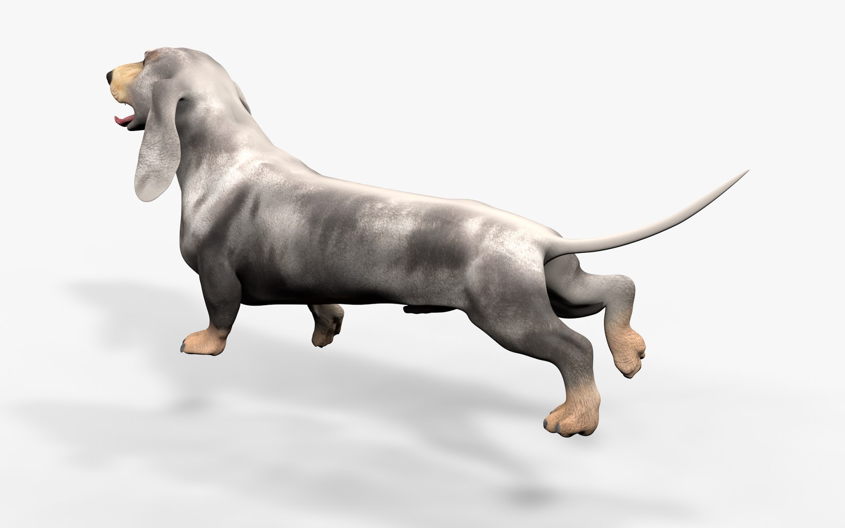 3D Dachshund Rigged L1863 https://p.turbosquid.com/ts-thumb/c1/SE0MKB/uX/13_0012/png/1665357995/1920x1080/fit_q87/ba7f2a7cae3481f7ea953b419efe316214af95b7/13_0012.jpg
