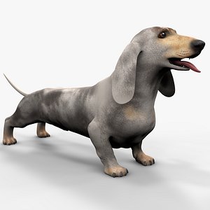 3D Dachshund Rigged L1863