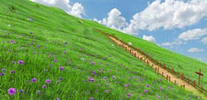 Hill Meadow Landscape
