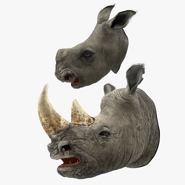 3D model rhinos heads fur
