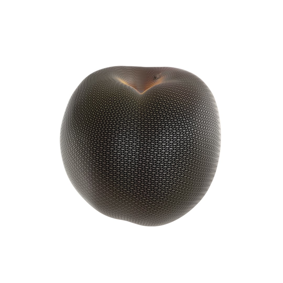 3D realistic nectarines packed model https://p.turbosquid.com/ts-thumb/c1/Zuqb9t/CzewngwI/nectarines_scan_48_wf_00/jpg/1565300638/1920x1080/fit_q87/f1676207612097cd6ec00a5e9fd29776fb430044/nectarines_scan_48_wf_00.jpg