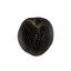 Nectarines pack