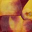 Nectarines pack