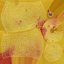 Nectarines pack