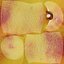 Nectarines pack