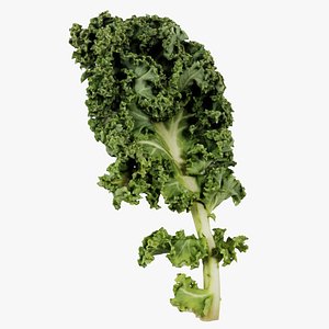 Lettuce 1 Remastered
