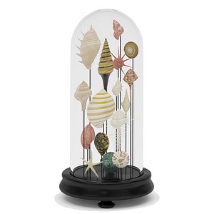 3D Seashell decorative model