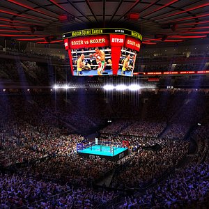 MSG Boxing Arena with Animated Audience