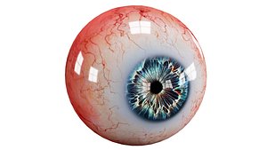 human eye 3d model