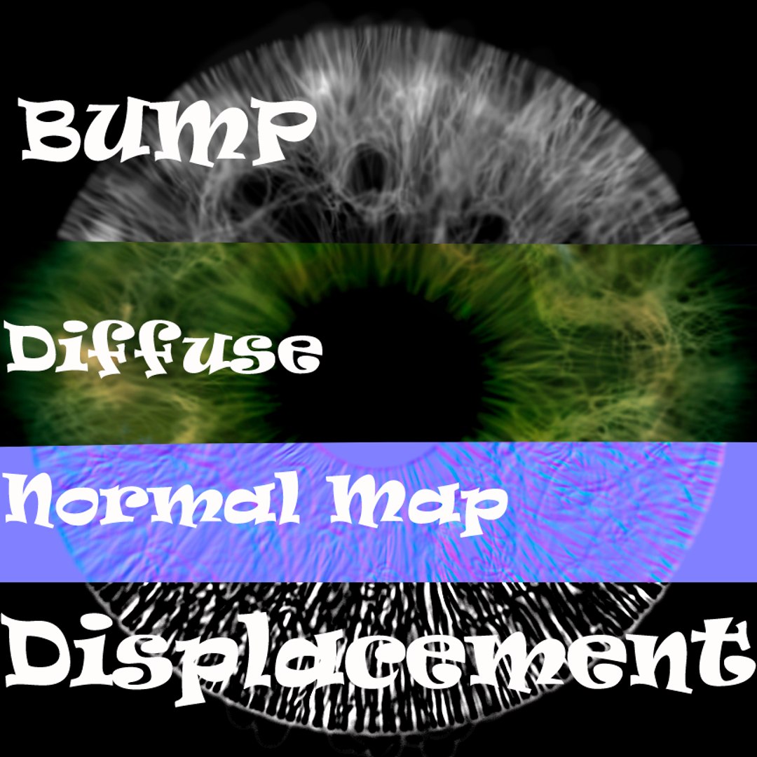 Human Eye 3d Model