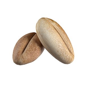 3D Wheat grain model