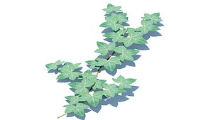3D model Hedera Helix - English Ivy-Vine