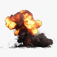 Ground Explosion mushroom shaped v04  in 660 frames - Simulated at 60fps - VDB Models sequence