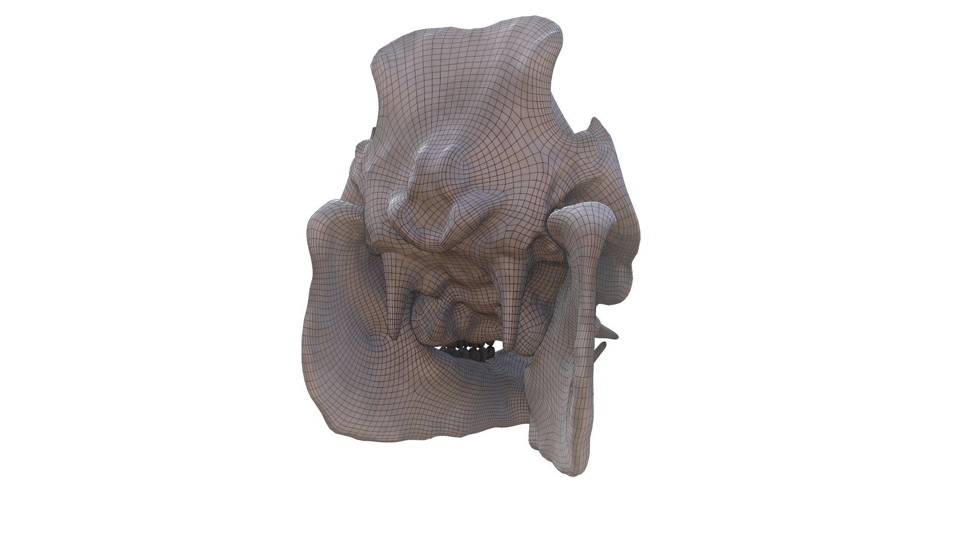 3D Boar Skull Model - TurboSquid 1790000