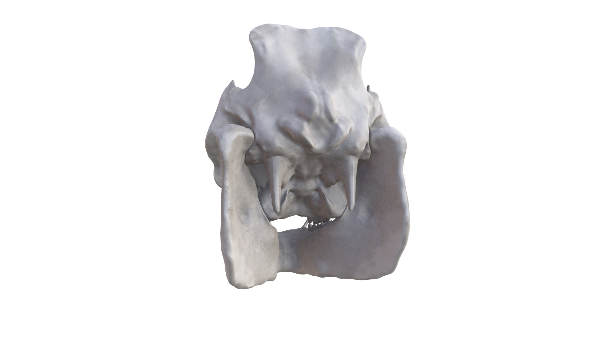 3D Boar Skull model https://p.turbosquid.com/ts-thumb/c2/MUlug8/xs/screenshot013/png/1632230905/1920x1080/fit_q87/b9d8e286d9ebc0f843fd0f5c851e5f64ce48f517/screenshot013.jpg