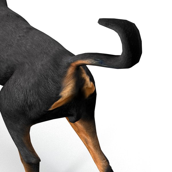 3d model rottweiler pose 2