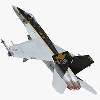 F18 Super Hornet Eagles