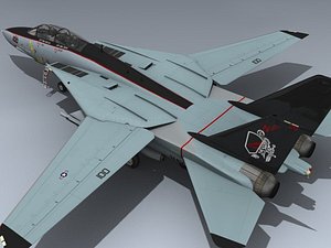 F-14A TARPS Tomcat (VF-154)