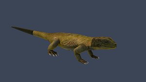 lizard 3D model
