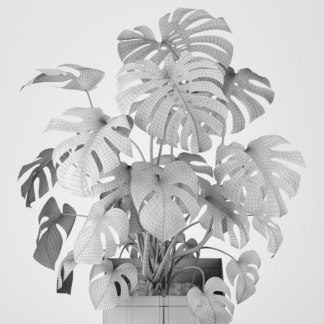pot cape tree 3D https://p.turbosquid.com/ts-thumb/c2/jCidkR/6OB9Entd/wire0005/jpg/1577347158/1920x1080/fit_q87/c521b4bf06b5369f0cf3b82bdda8f3db28c057d7/wire0005.jpg