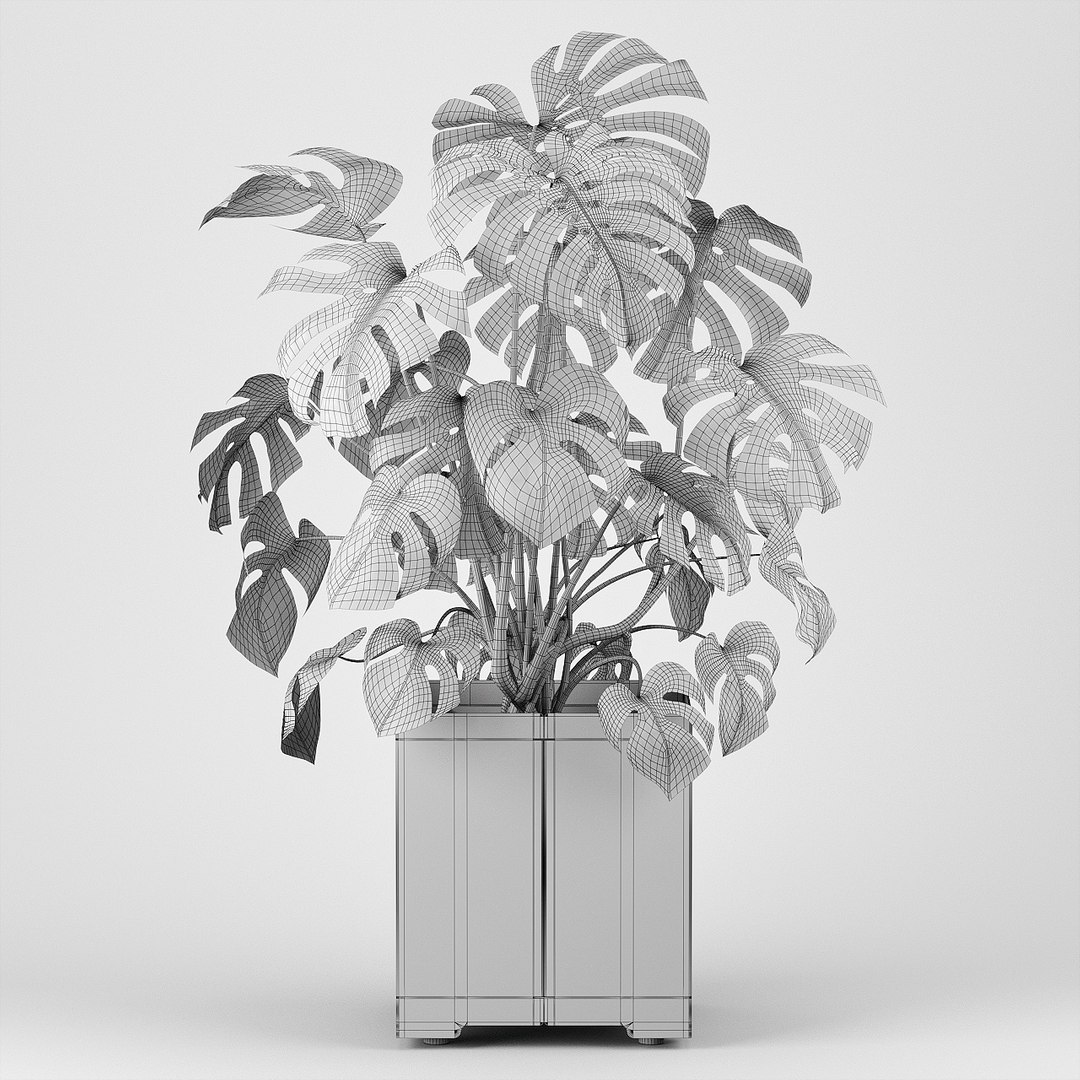 pot cape tree 3D https://p.turbosquid.com/ts-thumb/c2/jCidkR/fxLxFifU/wire0001/jpg/1577347158/1920x1080/fit_q87/e4d78409aac84bbec267d1b804a079d5da40bafe/wire0001.jpg