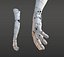 Anatomie robotique de la main