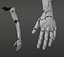 Anatomie robotique de la main