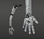 Anatomie robotique de la main