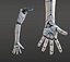 Anatomie robotique de la main
