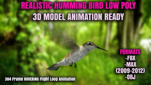 3d model realistic humming bird animation