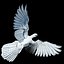 pigeon skinned rigged 3d model