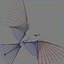 pigeon skinned rigged 3d model