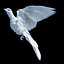 pigeon skinned rigged 3d model