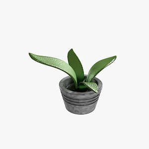 3D Plant 1