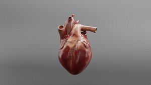 The human heart beats blender 3D