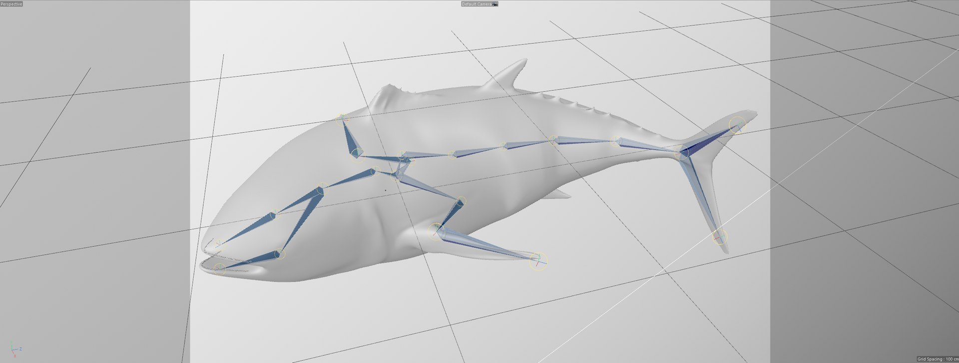 TUNA FISH Rigged  L1889 3D model https://p.turbosquid.com/ts-thumb/c3/DAsxgE/9I/72/png/1671498460/1920x1080/fit_q87/b36a83f74fdb9cac2ec3c18712b2a62e709b634b/72.jpg