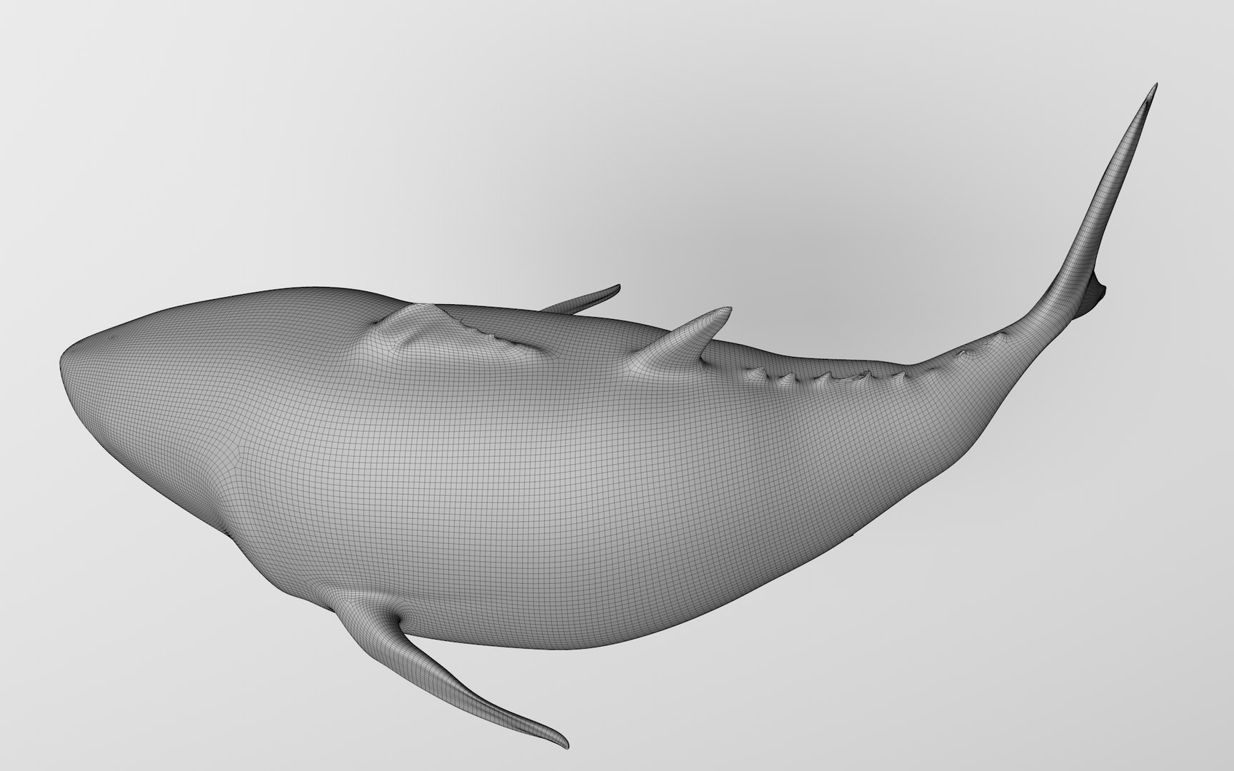 TUNA FISH Rigged  L1889 3D model https://p.turbosquid.com/ts-thumb/c3/DAsxgE/V0/56_0050/png/1671498441/1920x1080/fit_q87/b5d2caceab8a47226626f873b1b58eae8aa074ba/56_0050.jpg