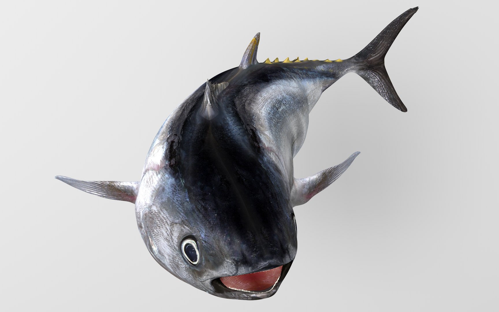 TUNA FISH Rigged  L1889 3D model https://p.turbosquid.com/ts-thumb/c3/DAsxgE/jC/23_i26_0029/png/1671498391/1920x1080/fit_q87/6d352959aa133ca0107ab0cfcb616f64a167a978/23_i26_0029.jpg