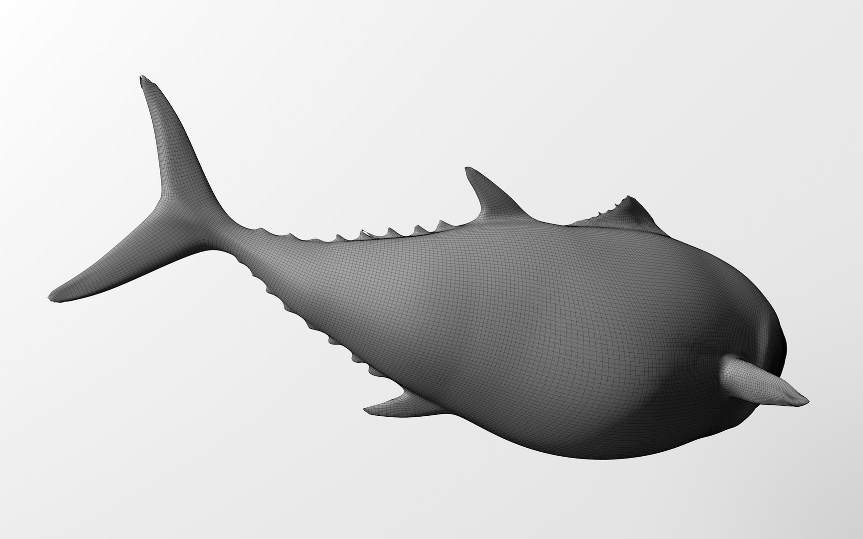TUNA FISH Rigged  L1889 3D model https://p.turbosquid.com/ts-thumb/c3/DAsxgE/pX/61_0056/png/1671498445/1920x1080/fit_q87/99043501d7bfb994b5064bff4f02fef8038cf1cd/61_0056.jpg