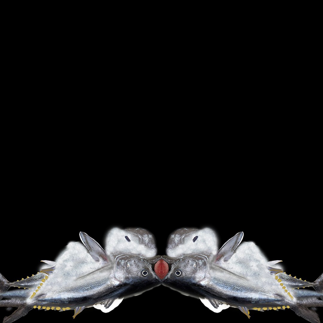 TUNA FISH Rigged  L1889 3D model https://p.turbosquid.com/ts-thumb/c3/DAsxgE/rK/uv/png/1671498396/1920x1080/fit_q87/c44e0ee7dde51a1af08b436ec03bdcd77ee0ff14/uv.jpg