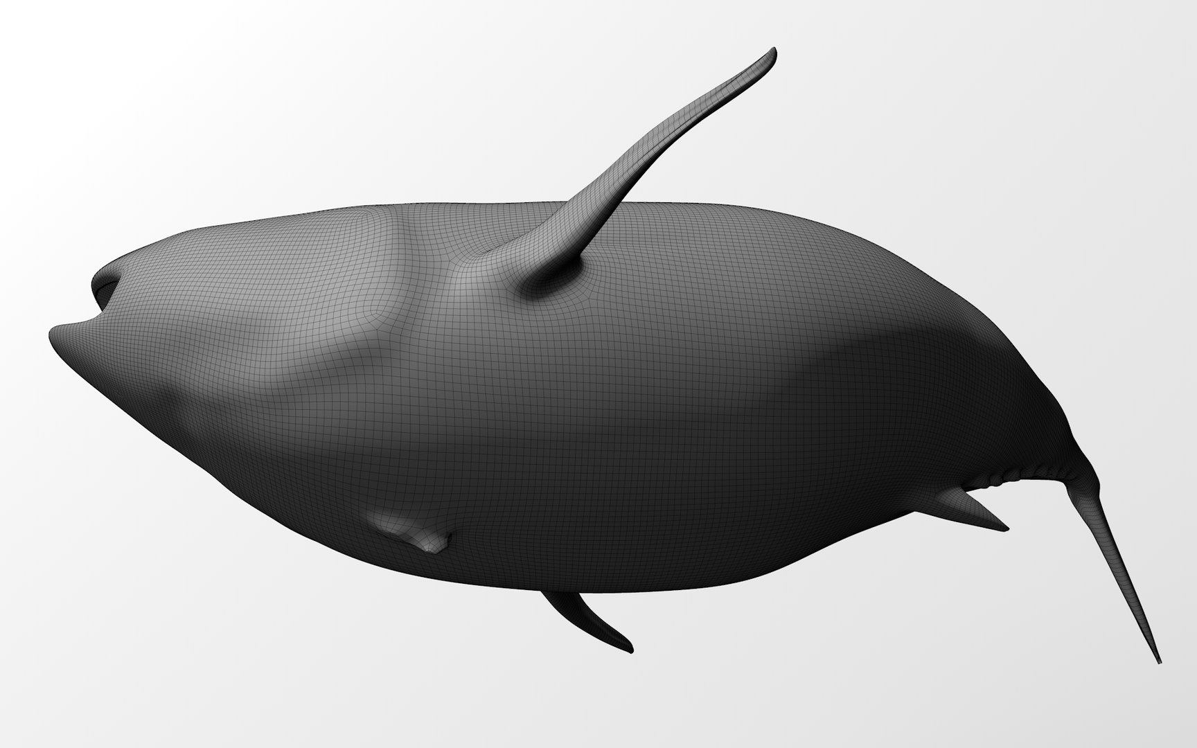 TUNA FISH Rigged  L1889 3D model https://p.turbosquid.com/ts-thumb/c3/DAsxgE/wk/69_0014/png/1671498455/1920x1080/fit_q87/136a75c8fb11b4bb8aaf7445e3b59dd5f198d0c0/69_0014.jpg
